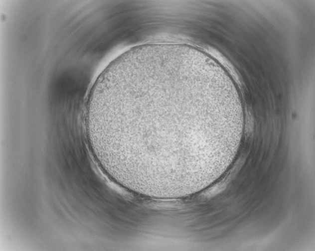 X0000085271486200704092127