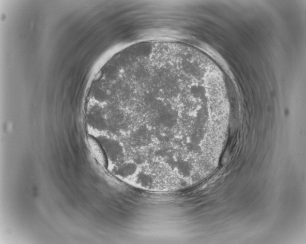 X0000085271488200704092127