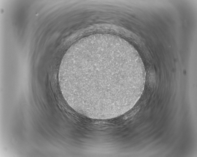 X0000085271489200704092126