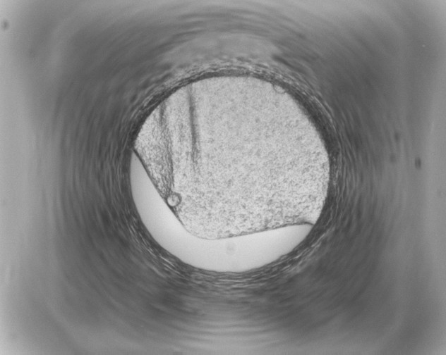 X0000085271490200704092126