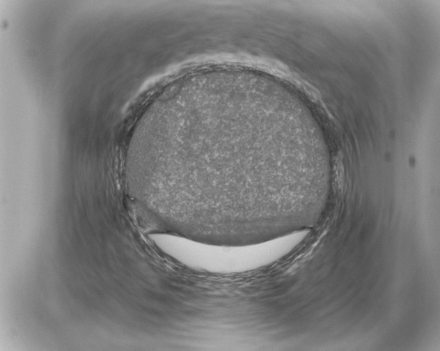 X0000085271494200704092126