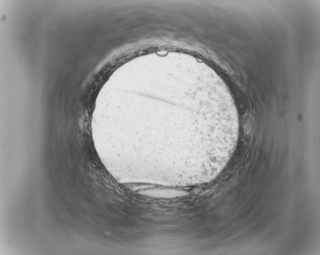 X0000085271495200704092126