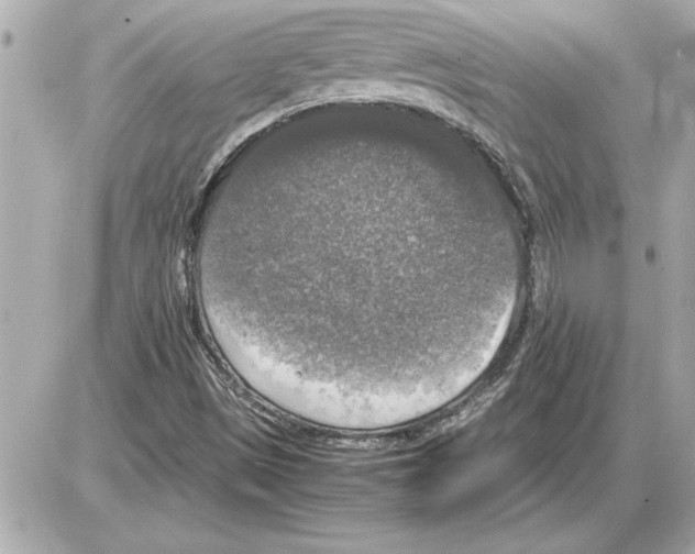 X0000085271497200704092126