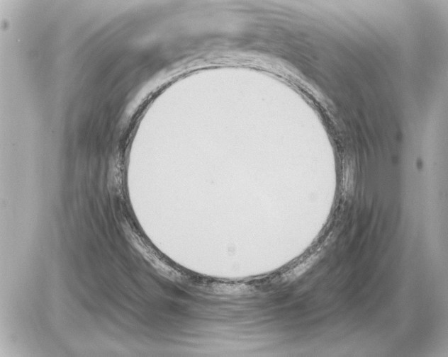 X0000085271498200704092126