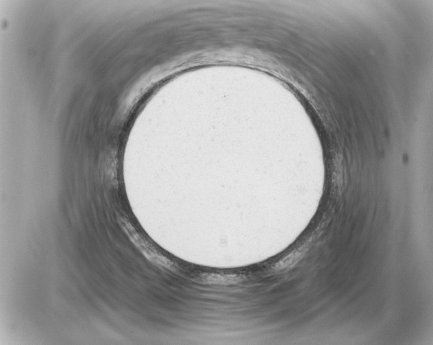 X0000085271499200704092126