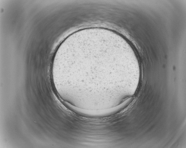 X0000085271500200704092126