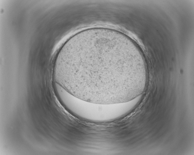 X0000085271504200704092127