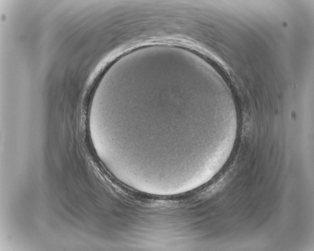 X0000085271506200704092127