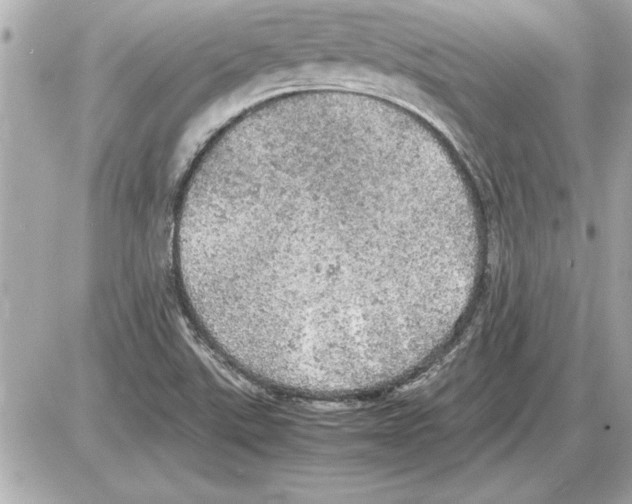 X0000085271507200704092127