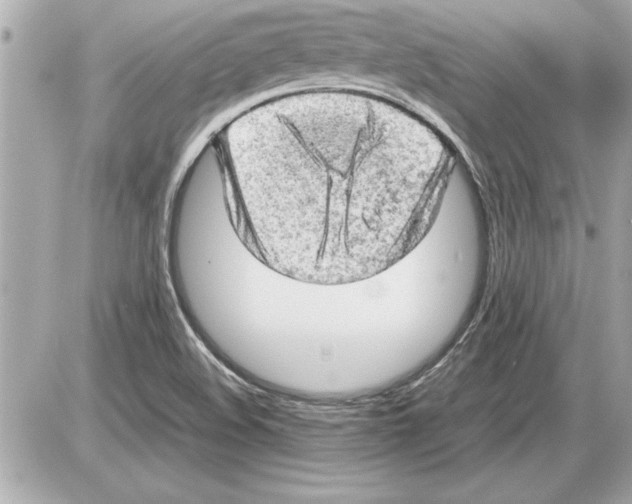 X0000085271508200704092127