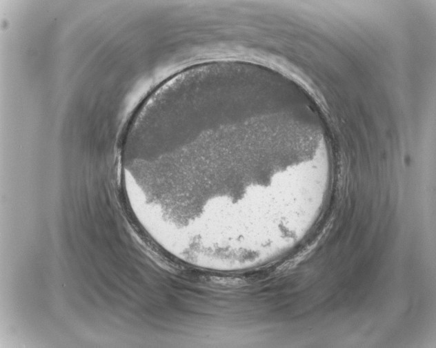 X0000085271509200704092127