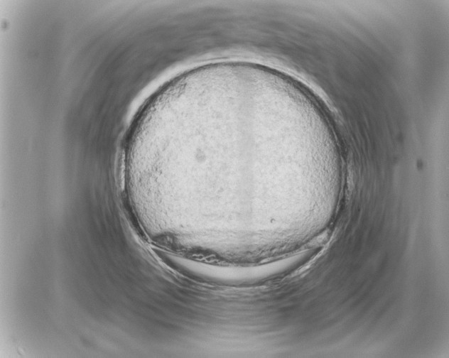 X0000085271510200704092127