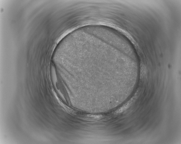 X0000085271513200704092127