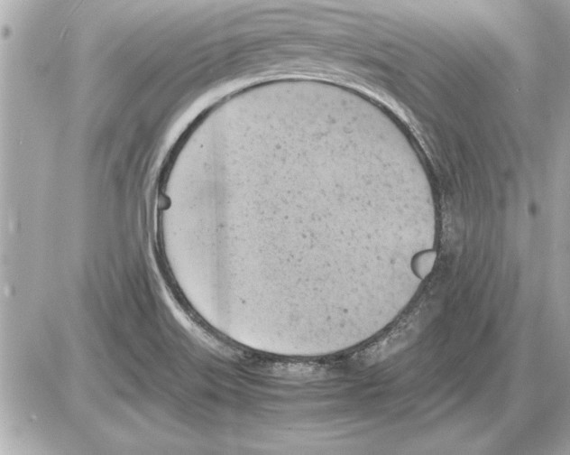 X0000085271515200704092127