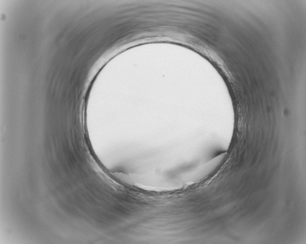 X0000085271516200704092127