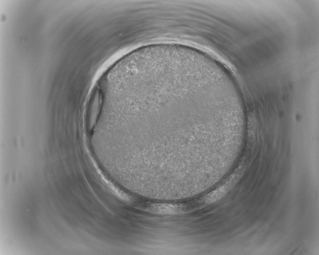 X0000085271517200704092127