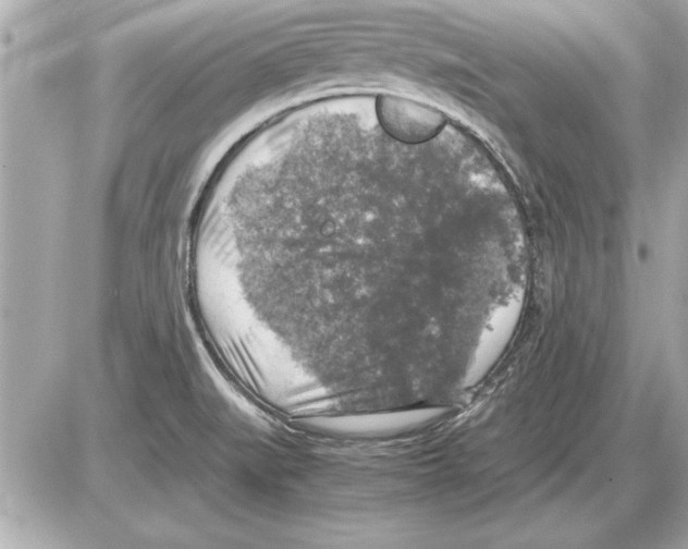 X0000085271519200704092127