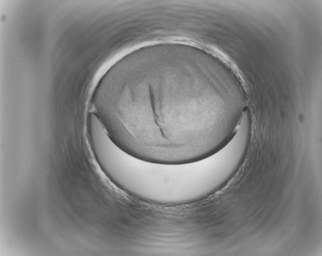 X0000085271520200704092127