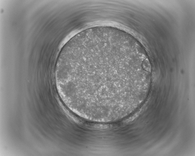 X0000085271521200704092127