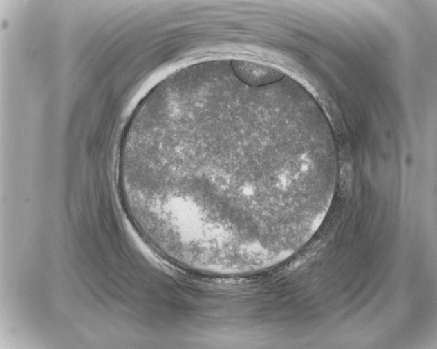 X0000085271523200704092127