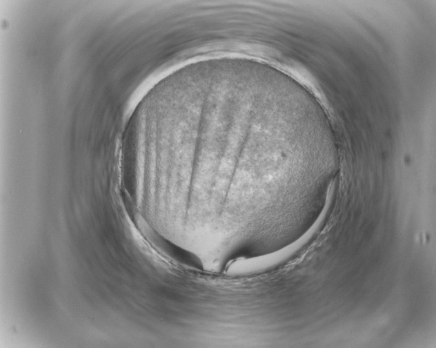 X0000085271524200704092127