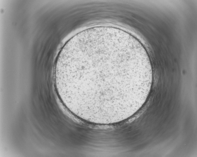 X0000085271526200704092127