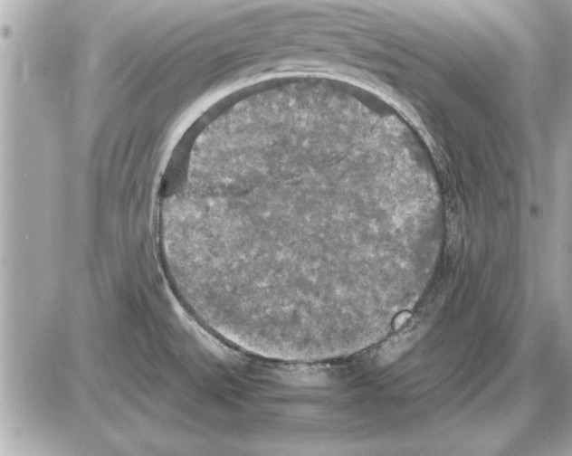 X0000085271527200704092127