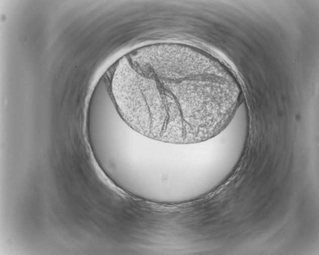 X0000085271528200704092127