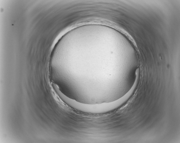 X0000085271530200704092127