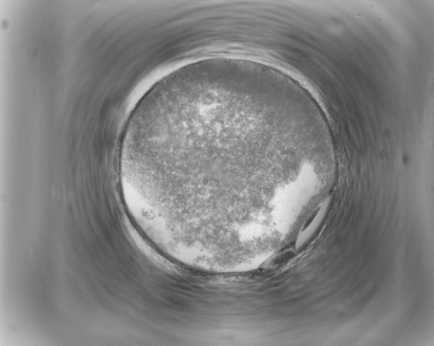 X0000085271531200704092127