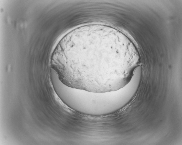 X0000085271532200704092127