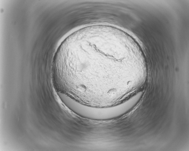 X0000085271534200704092127