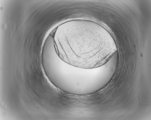 X0000085271536200704092127