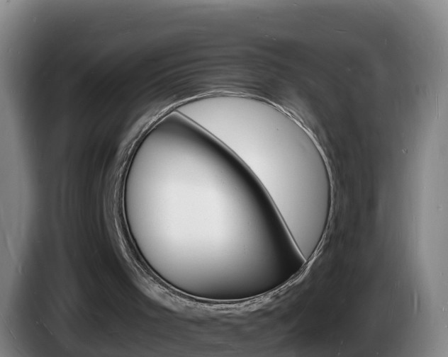 X0000085280001200703090946