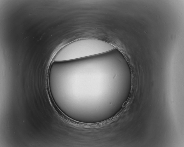 X0000085280003200703090946