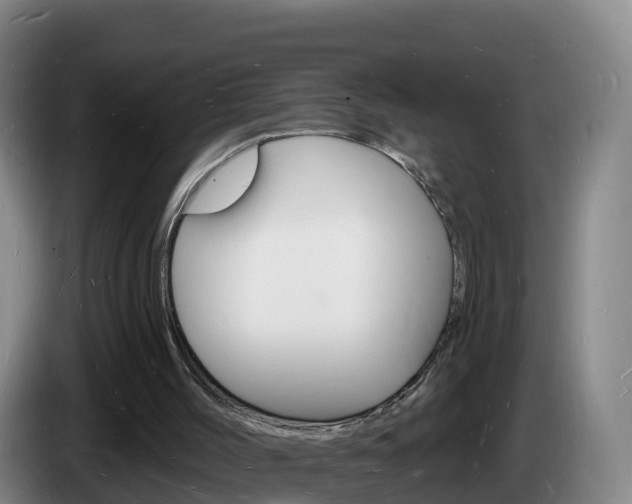 X0000085280004200703090946