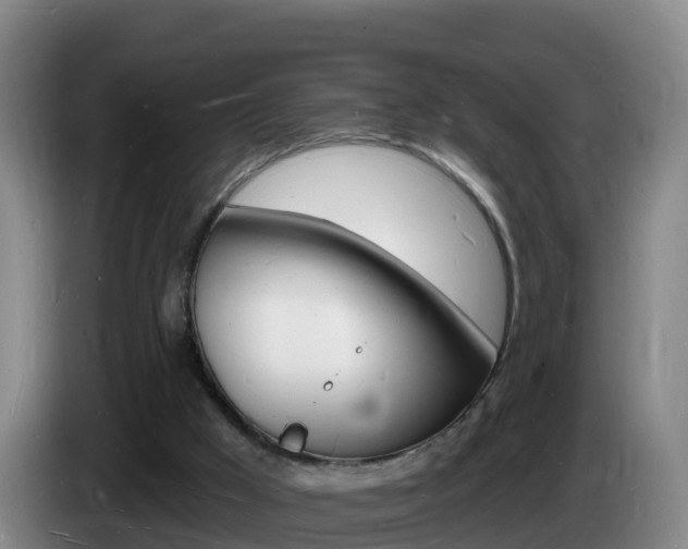 X0000085280009200703090946