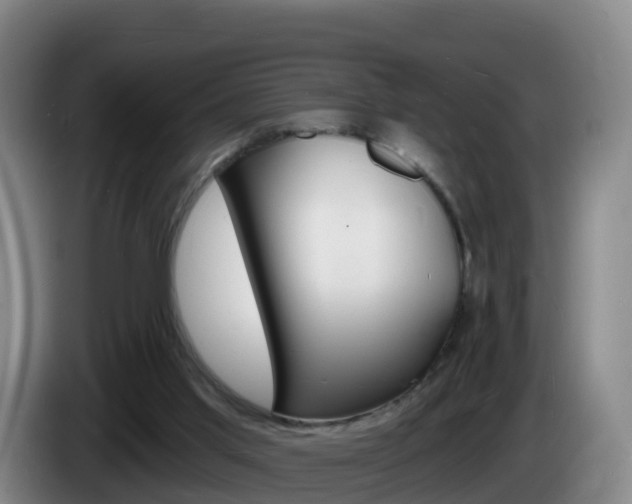 X0000085280013200703090946
