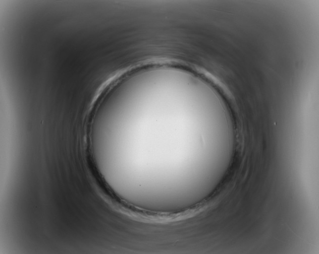 X0000085280015200703090946