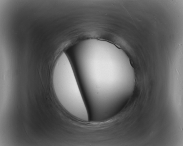 X0000085280023200703090945