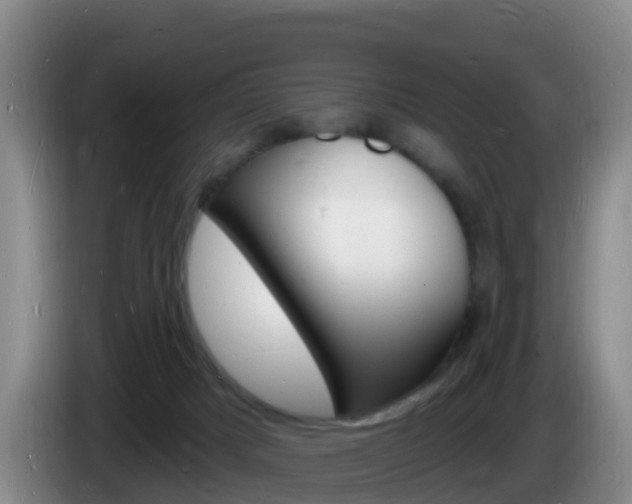 X0000085280025200703090945
