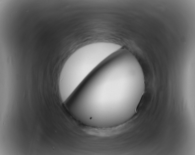 X0000085280033200703090945