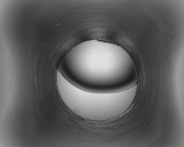 X0000085280041200703090945