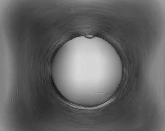 X0000085280048200703090945