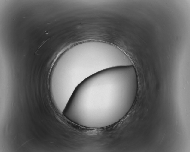 X0000085280050200703090944