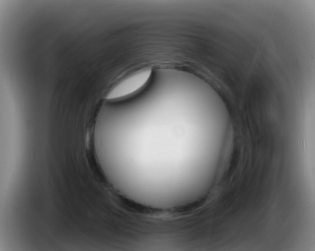 X0000085280075200703090945
