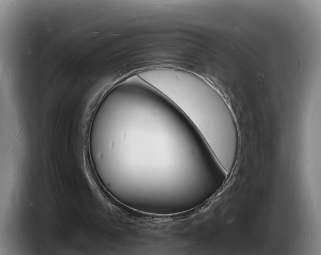 X0000085280097200703090944