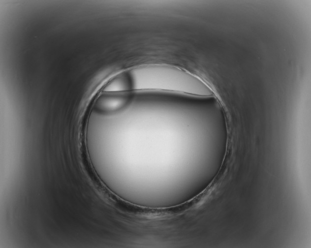 X0000085280103200703090944