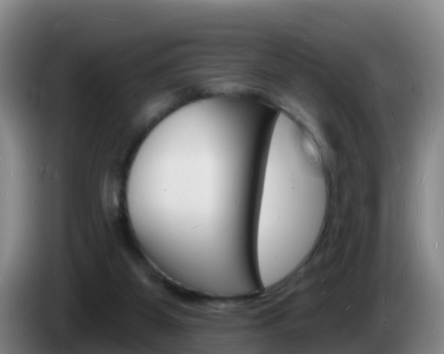 X0000085280115200703090944