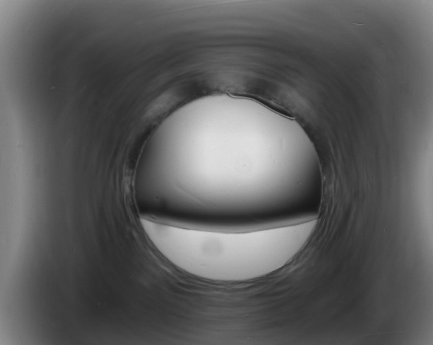 X0000085280141200703090944